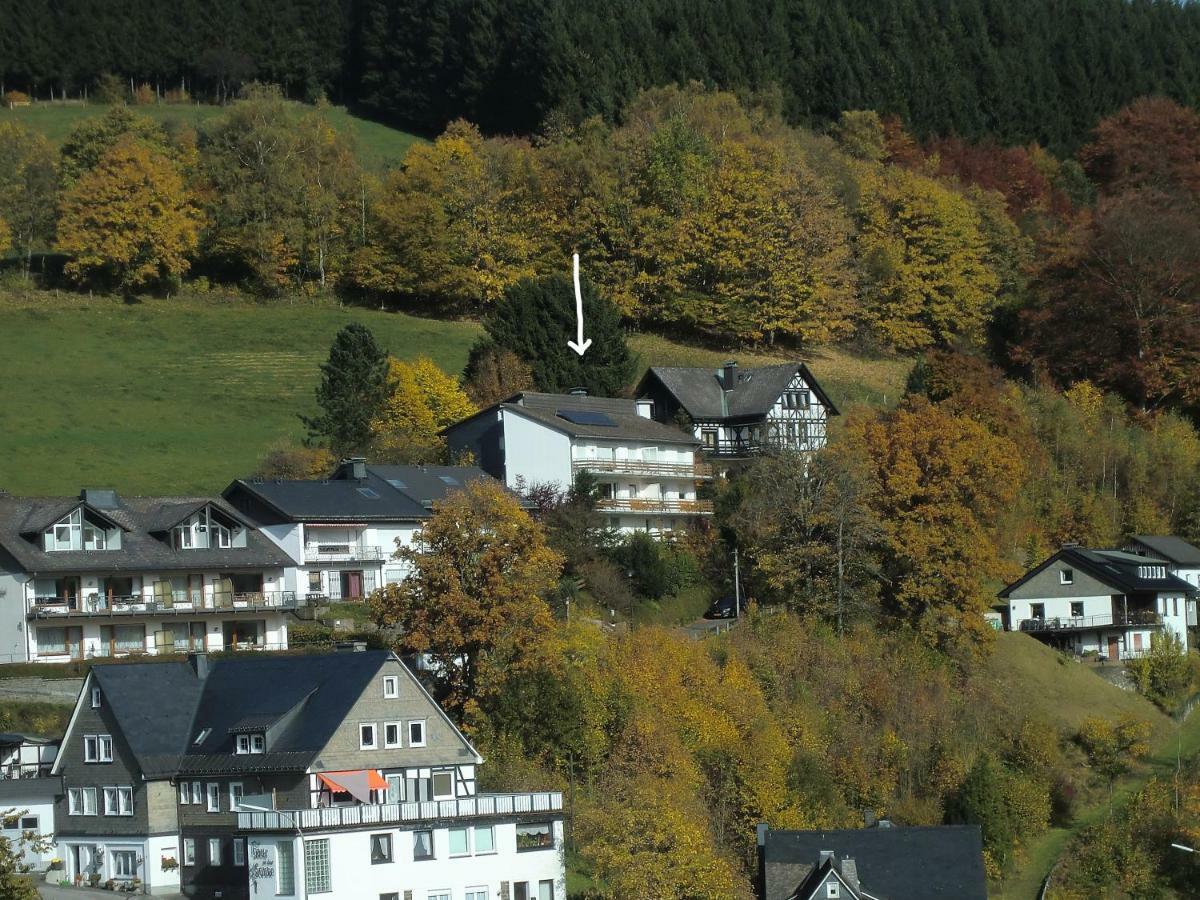 Appartementen Edel Schmallenberg Zewnętrze zdjęcie